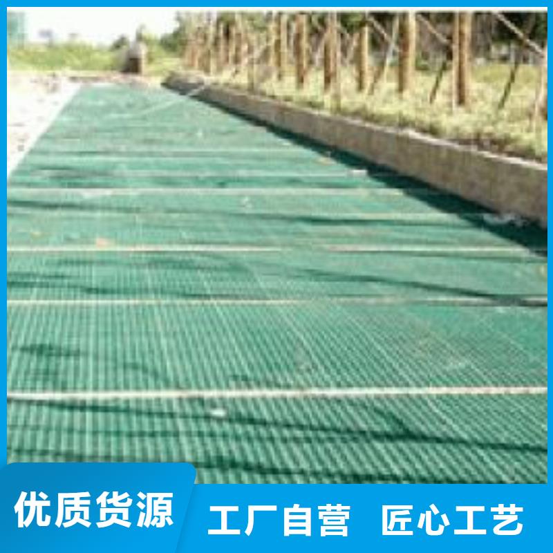 植草格土工滤网质检合格发货