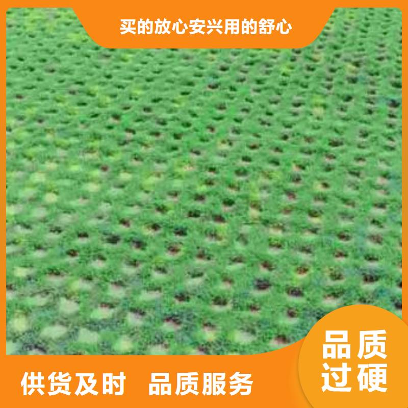 植草格-PP焊接土工格栅价格地道