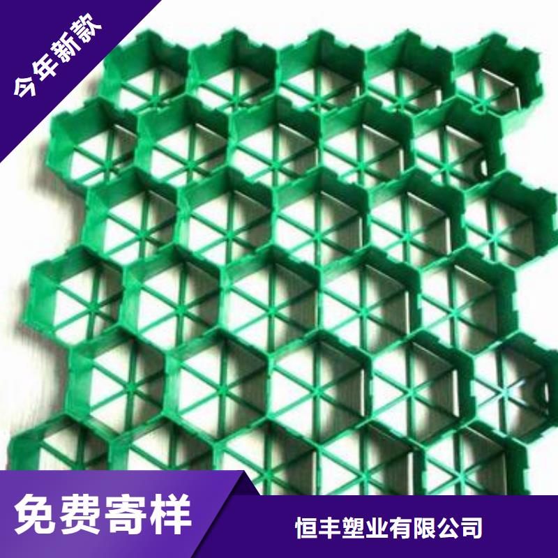 植草格【塑料盲沟】品类齐全