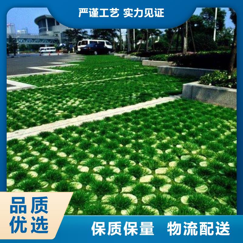 植草格【塑料盲沟】品类齐全