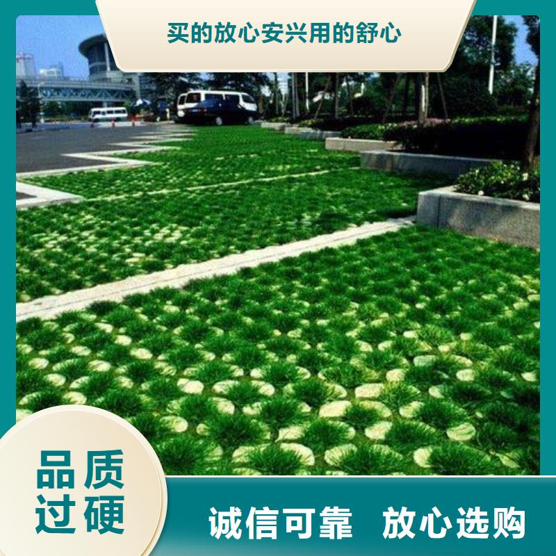 植草格HDPE土工膜海量现货直销