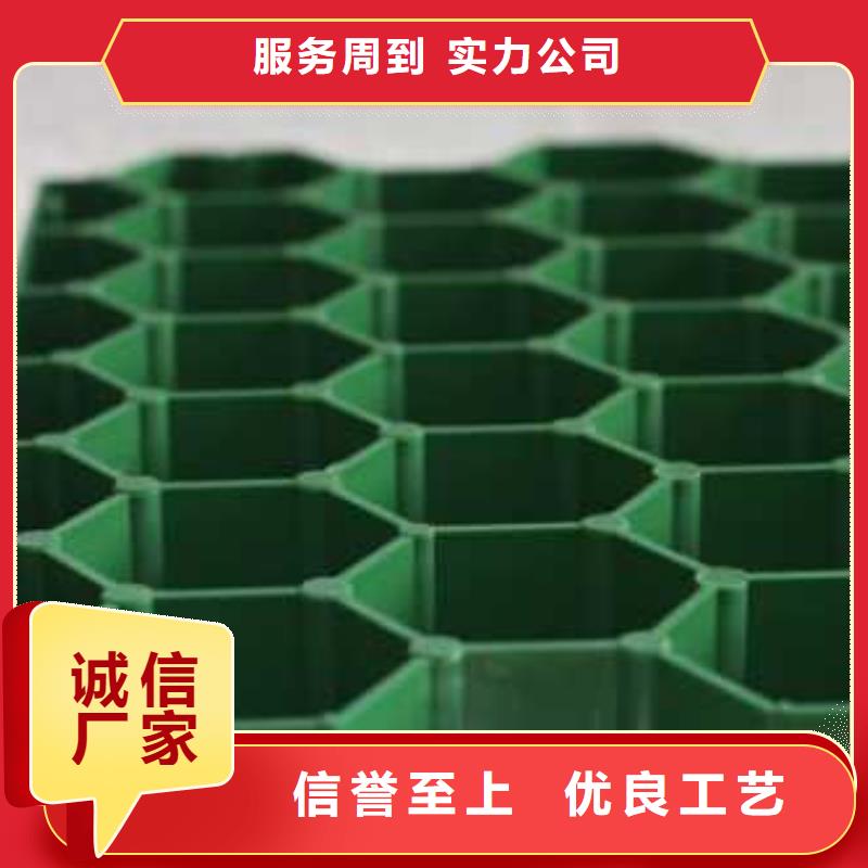 植草格【PP焊接土工格栅】订购