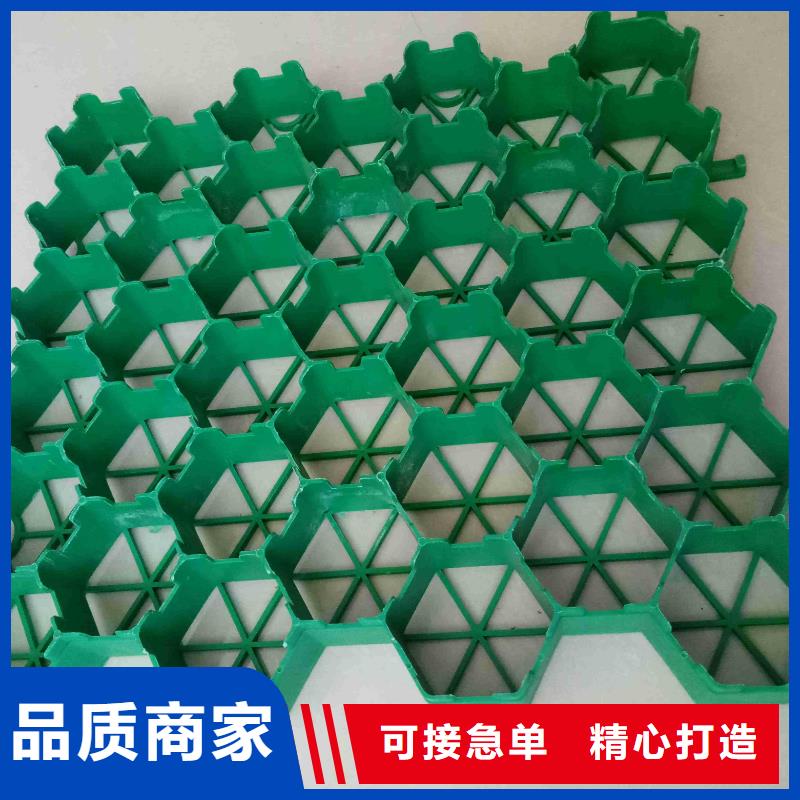 【植草格】_软式透水管批发供应