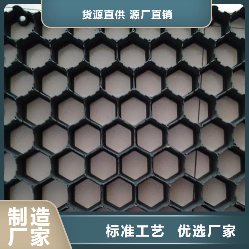 植草格玻纤土工格栅优选好材铸造好品质