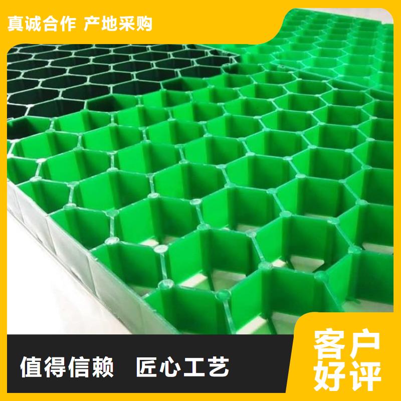 【植草格】_软式透水管批发供应