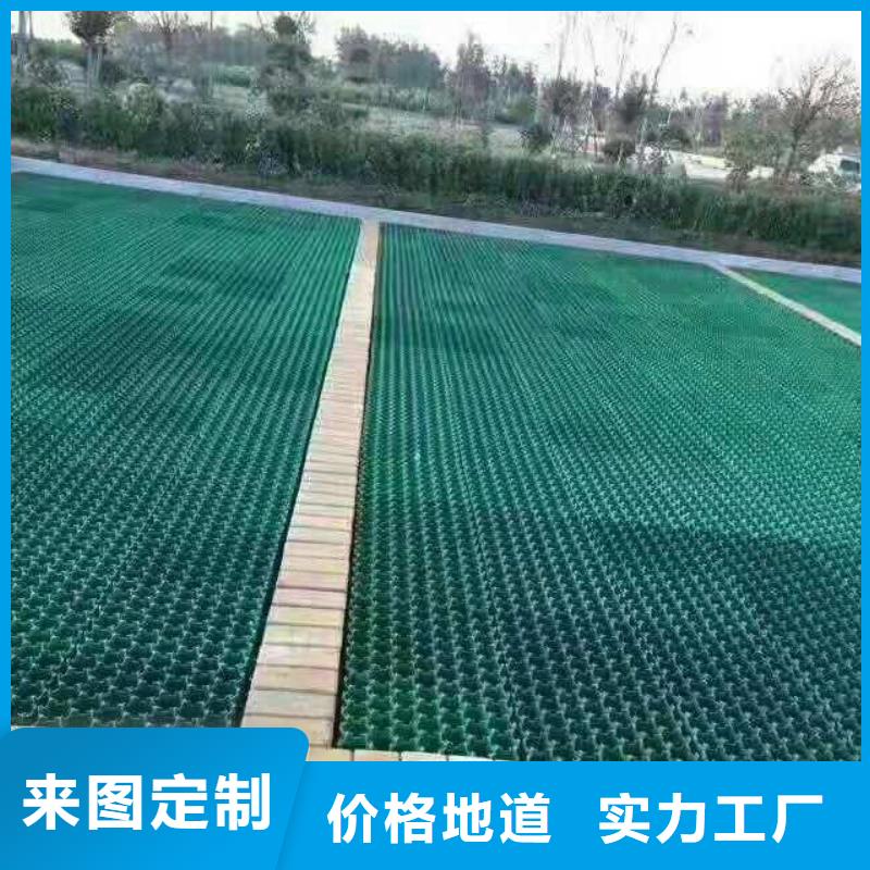 【植草格】_软式透水管批发供应