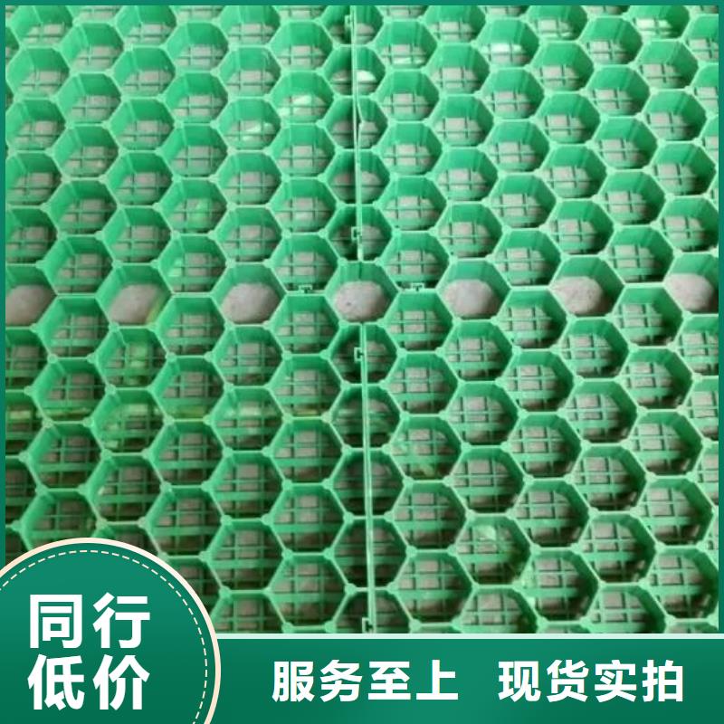植草格-PP焊接土工格栅价格地道