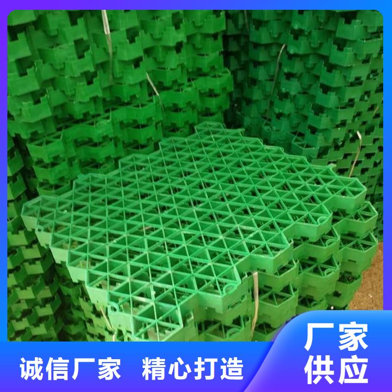 【植草格】三维土工网垫厂诚信经营