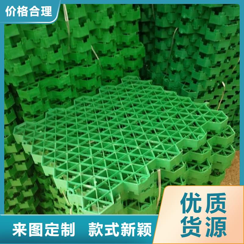 植草格玻纤土工格栅优选好材铸造好品质