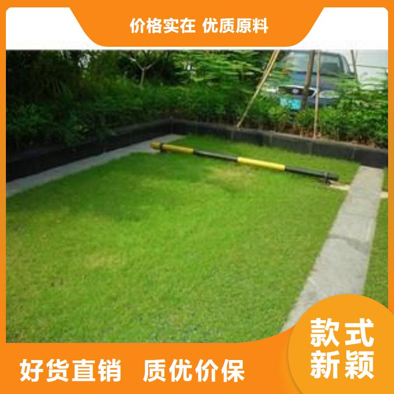 植草格玻纤土工格栅优选好材铸造好品质