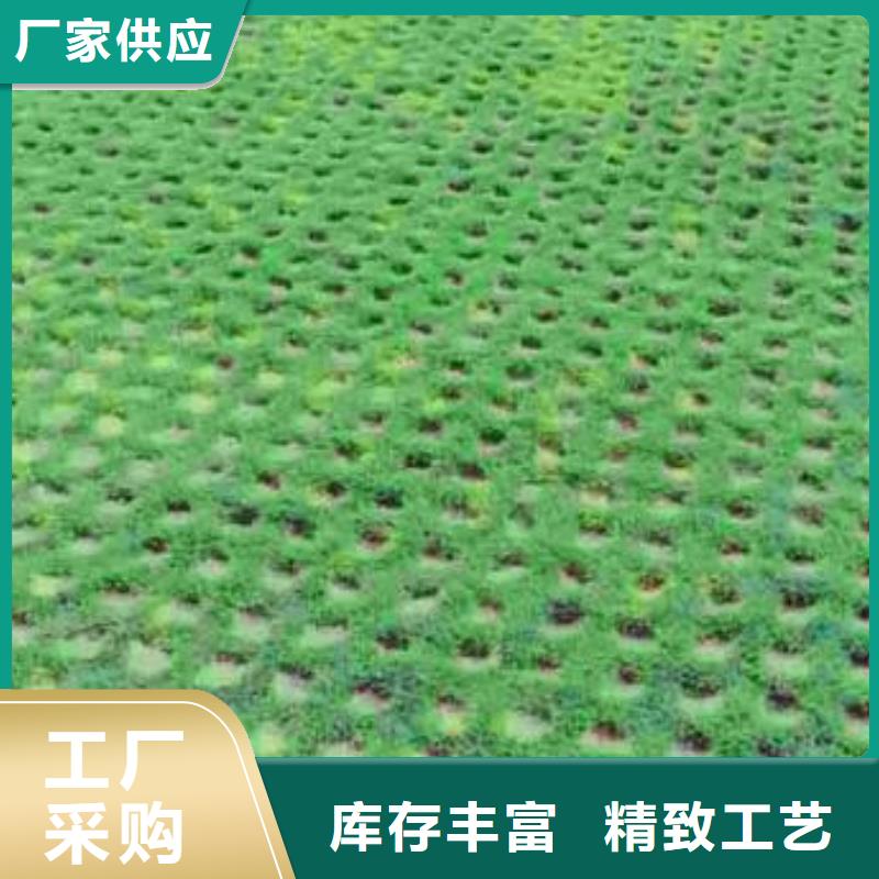 植草格_涤纶土工格栅质检合格发货