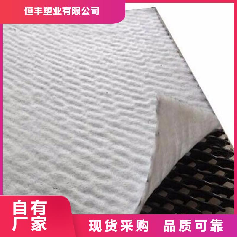 三维复合排水网单向塑料土工格栅批发供应