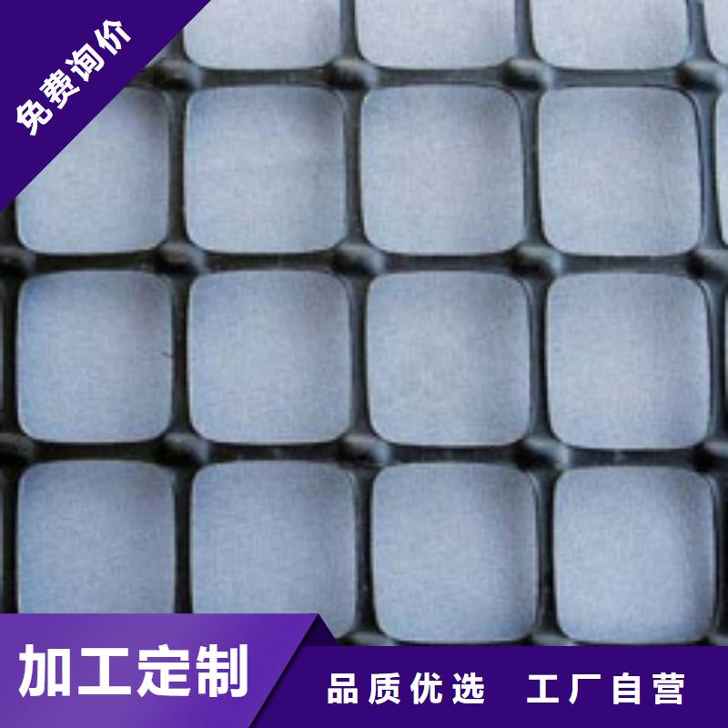 塑料土工格栅防尘布专业生产N年