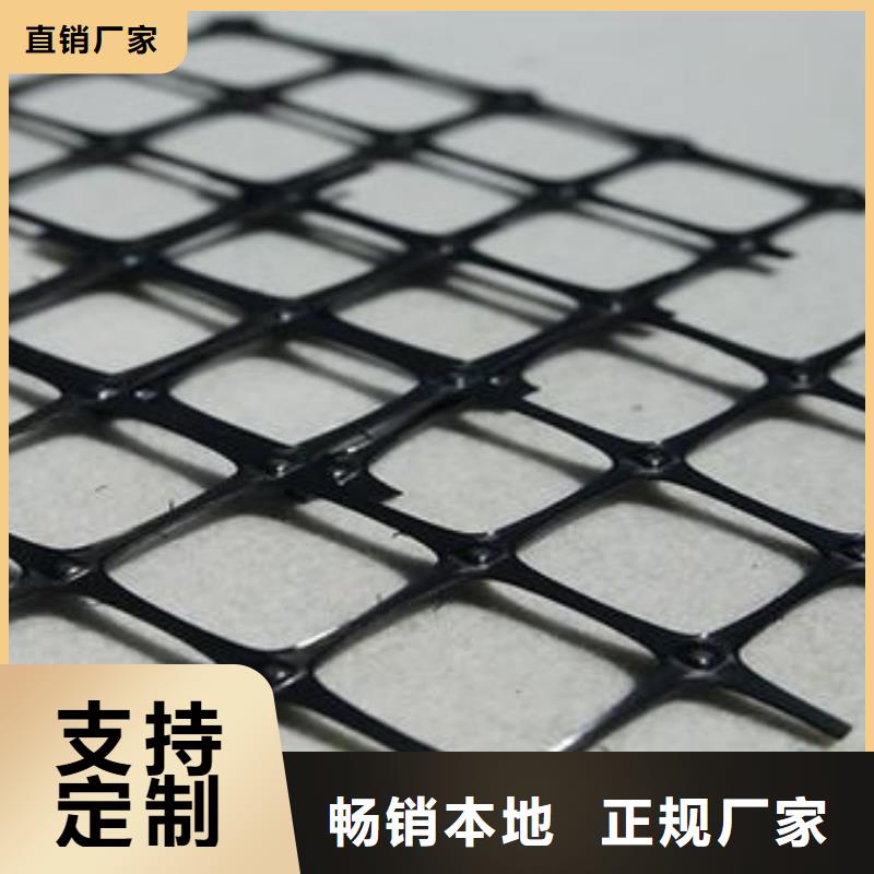 塑料土工格栅源头厂家