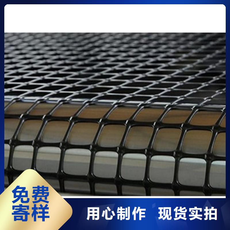 塑料土工格栅防尘布专业生产N年