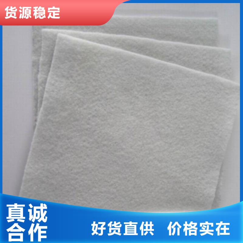 土工布_防水毯全新升级品质保障