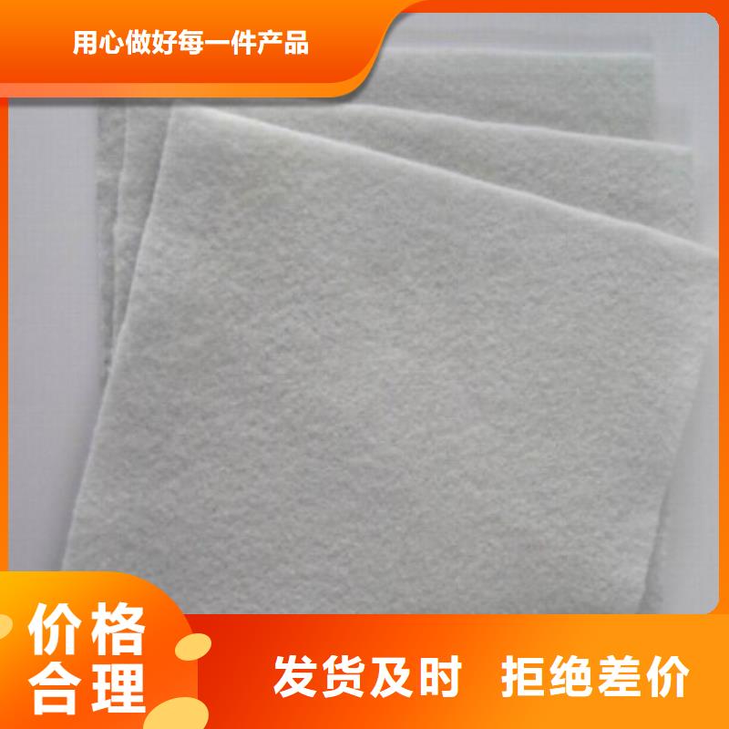 土工布_防水毯全新升级品质保障