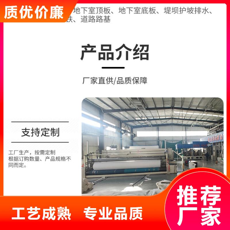土工布_防水毯全新升级品质保障