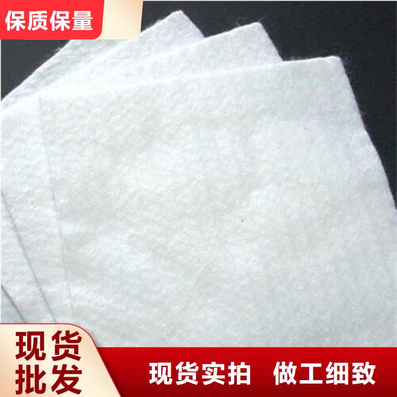 土工布,钢塑土工格栅免费寄样