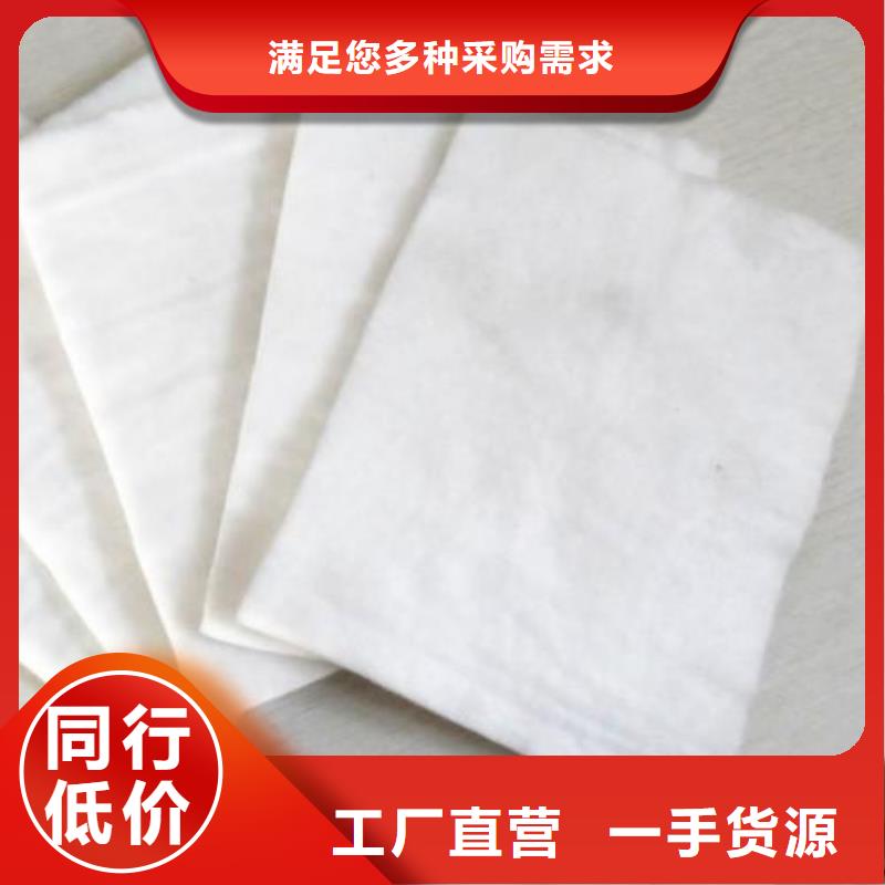 土工布-凸结点钢塑土工格栅技术先进