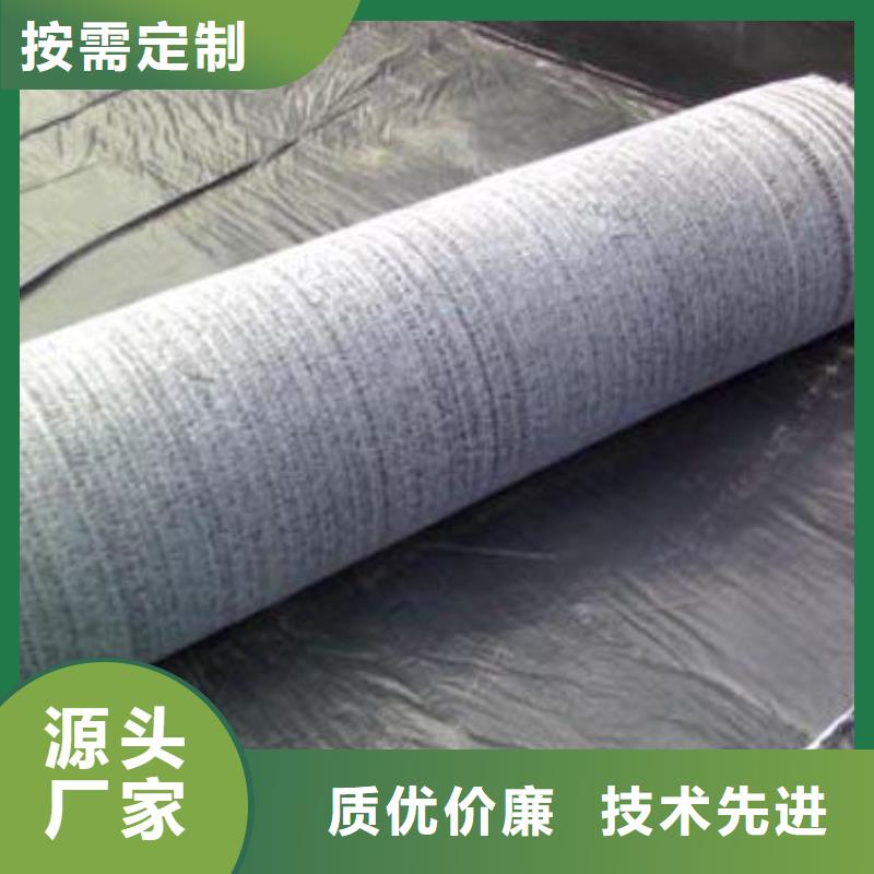 膨润土防水毯聚乙烯土工膜自主研发