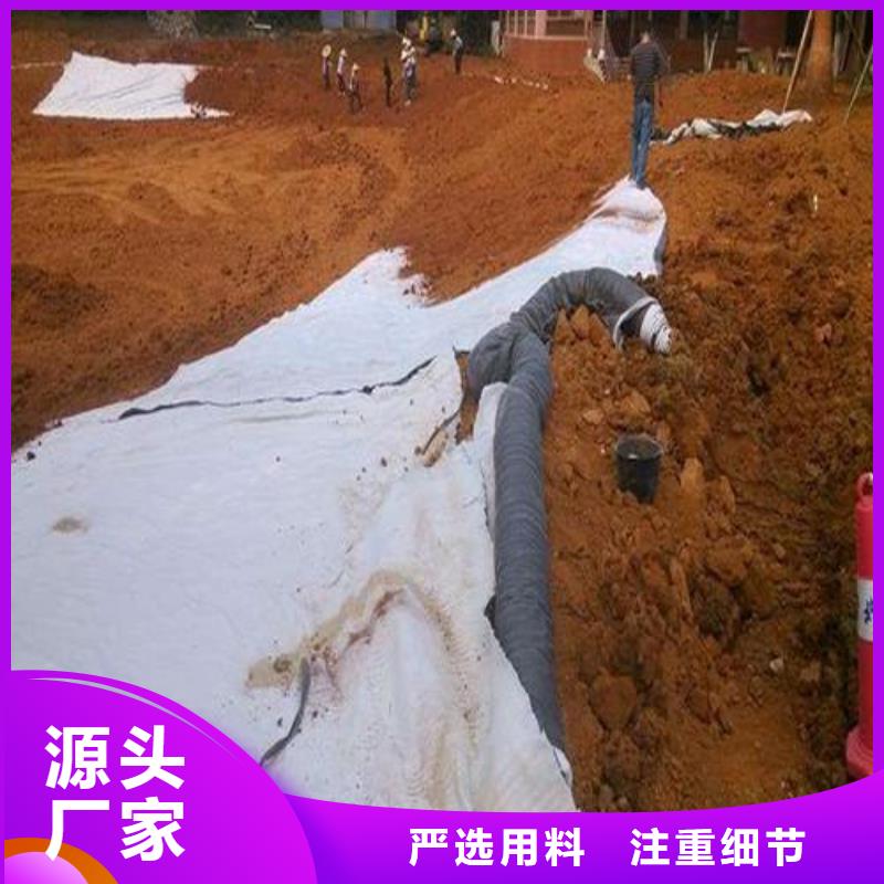 膨润土防水毯土工布全品类现货