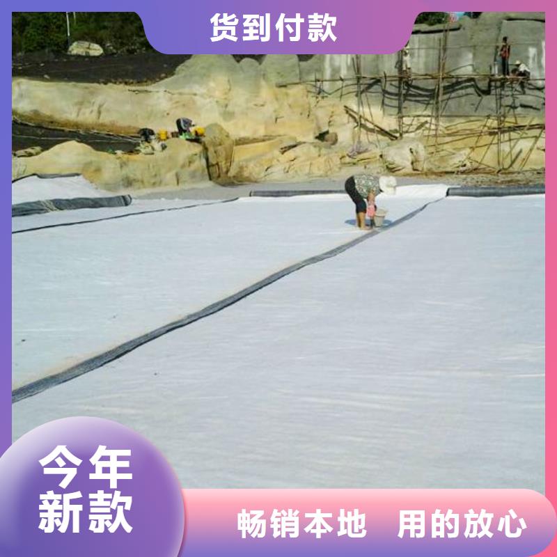 膨润土防水毯聚乙烯土工膜自主研发