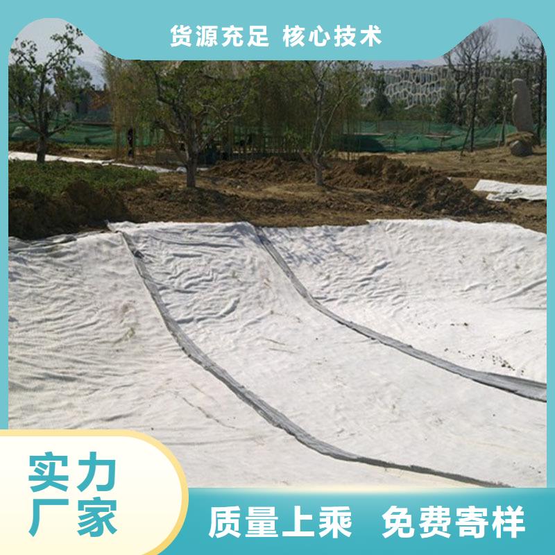 膨润土防水毯土工布全品类现货