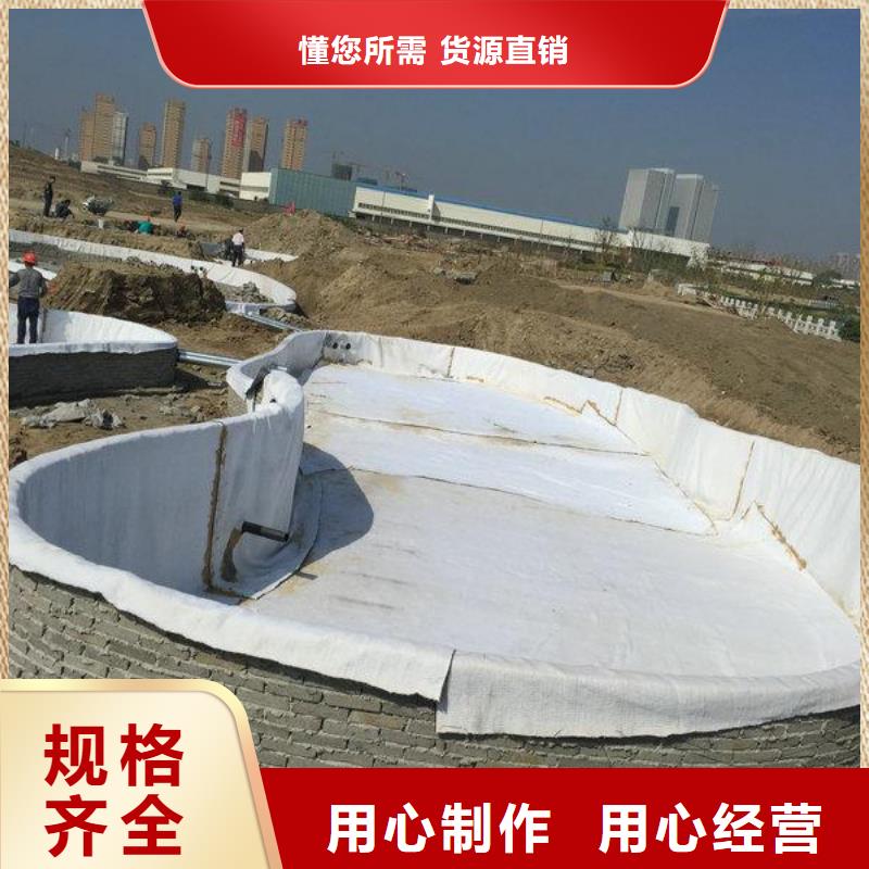 膨润土防水毯聚乙烯土工膜自主研发