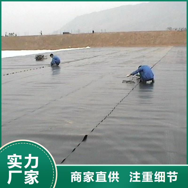 土工膜三维土工网垫多行业适用