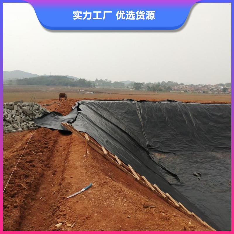 土工膜hdpe士工膜厂家直销规格多样