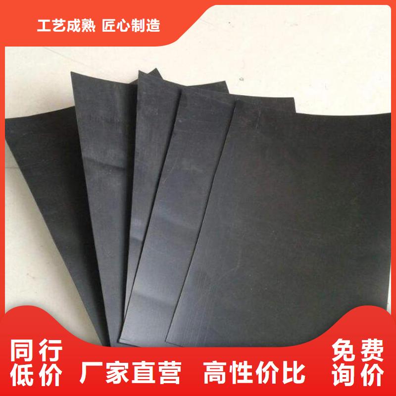 土工膜-单向塑料土工格栅大厂家实力看得见