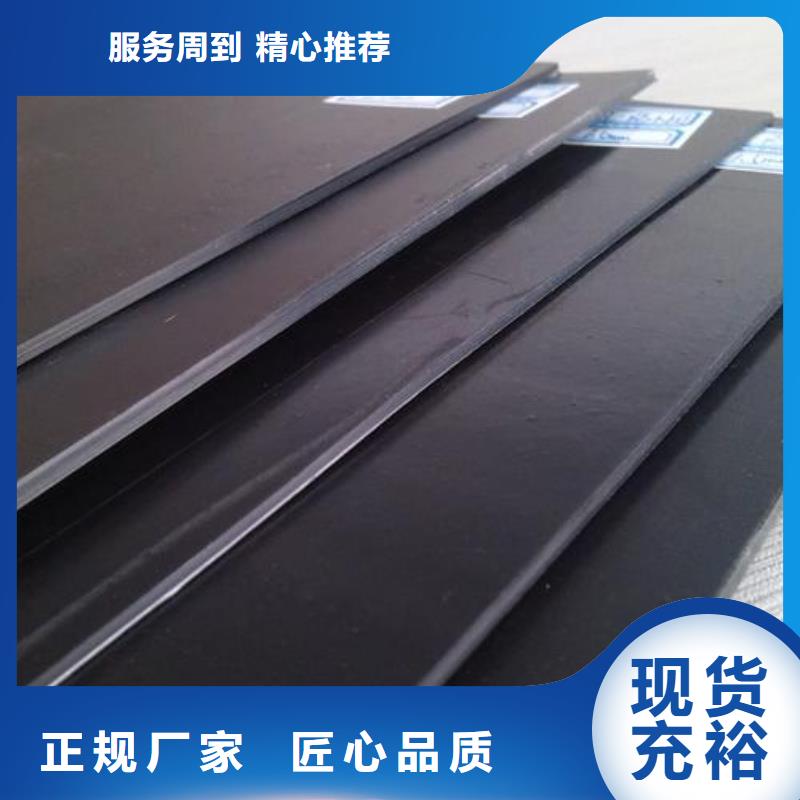 土工膜-【塑料土工格栅】精心打造