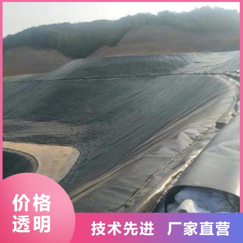 土工膜-单向塑料土工格栅大厂家实力看得见