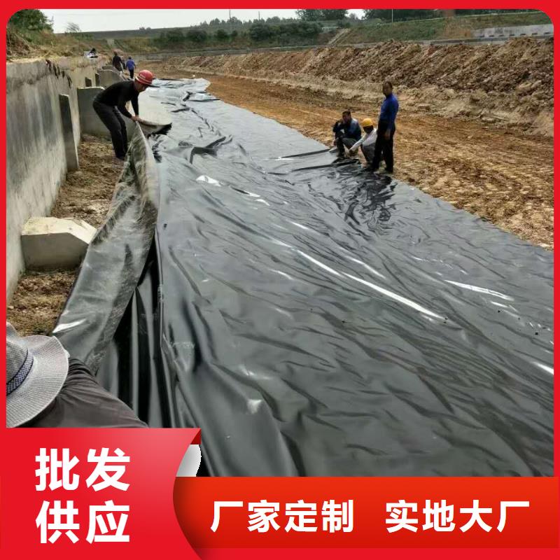 土工膜-【塑料土工格栅】精心打造