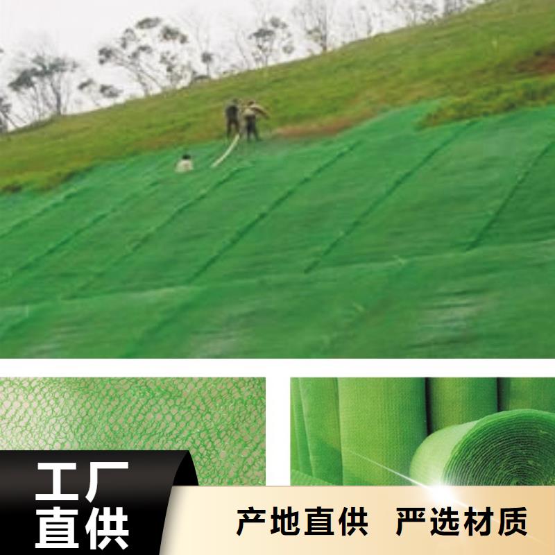 三维植被网复合土工膜厂诚信经营