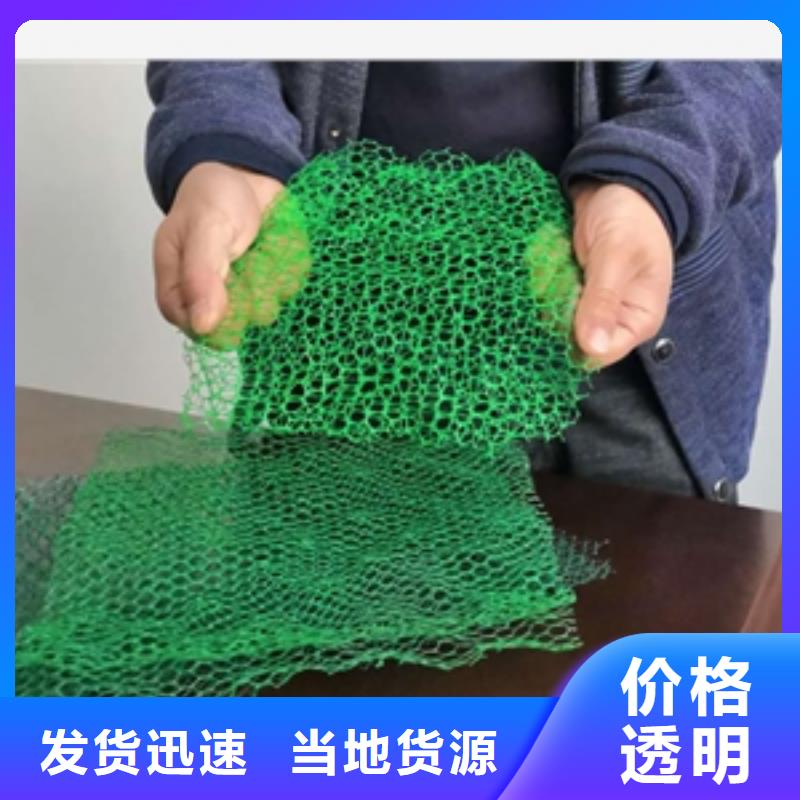 三维植被网【垃圾填埋场材料】实力才是硬道理