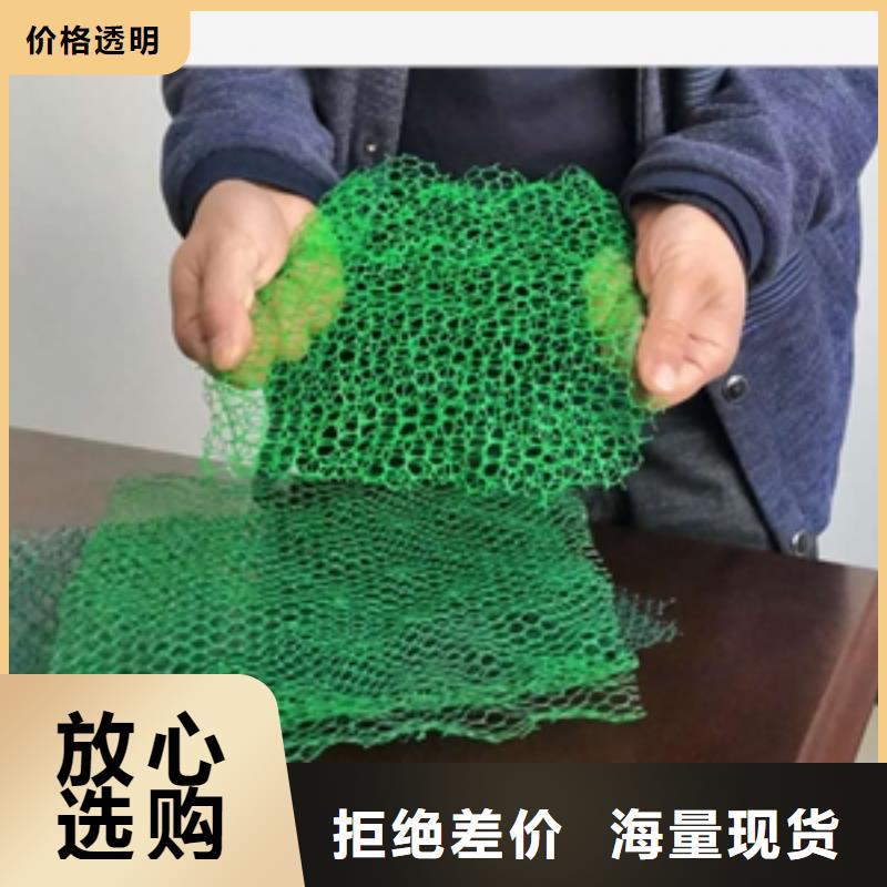 三维植被网_玻纤土工格栅卓越品质保障