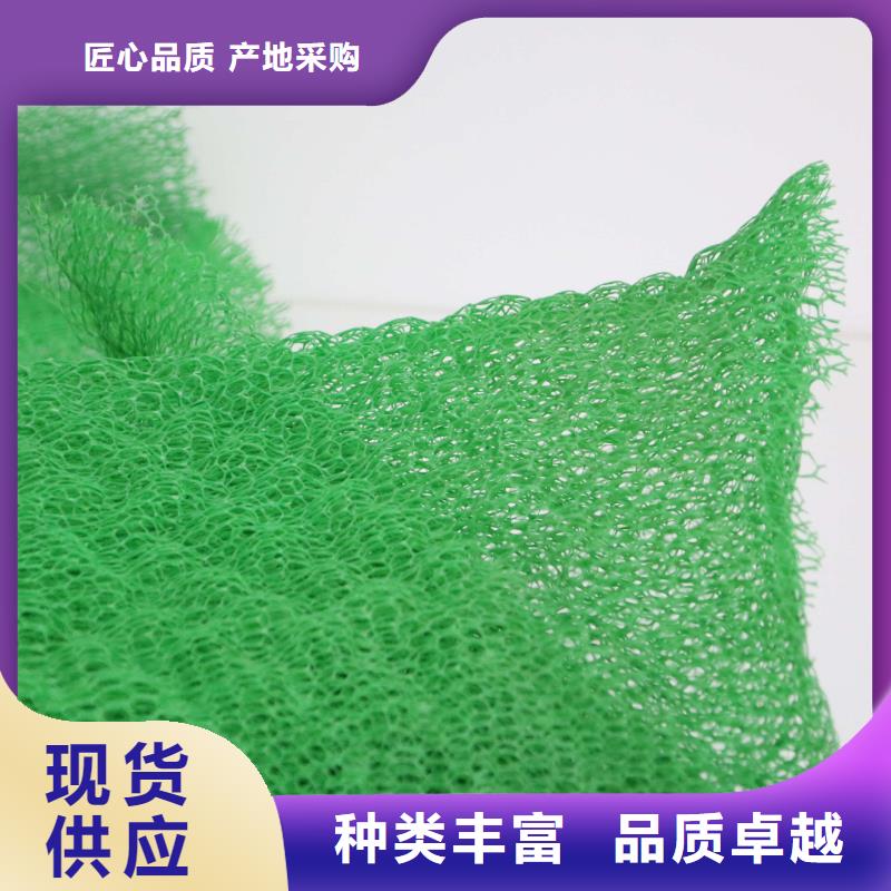 三维植被网涤纶土工格栅厂家直销规格多样