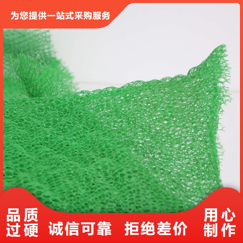 三维植被网长丝土工布品质做服务