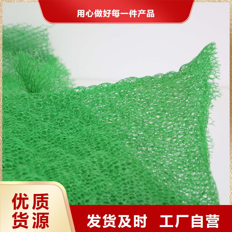 三维植被网【垃圾填埋场材料】实力才是硬道理