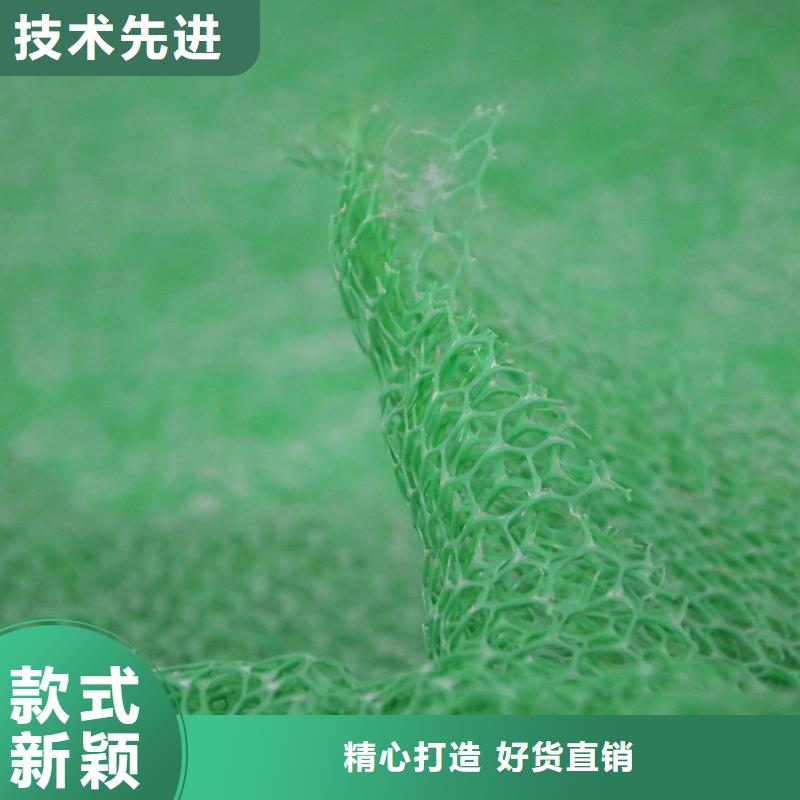 三维植被网_玻纤土工格栅卓越品质保障