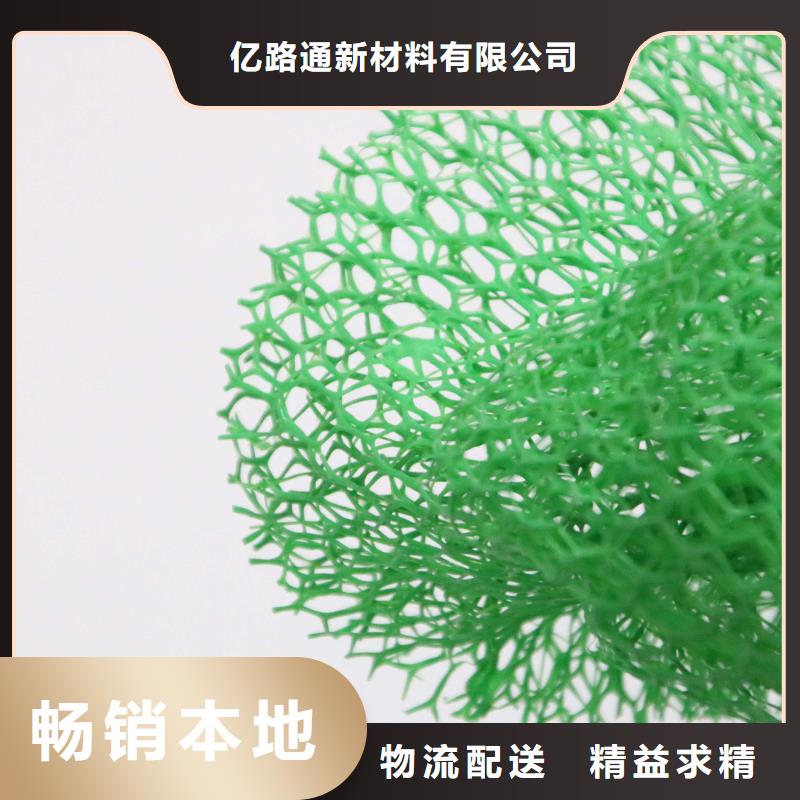 三维植被网涤纶土工格栅厂家直销规格多样