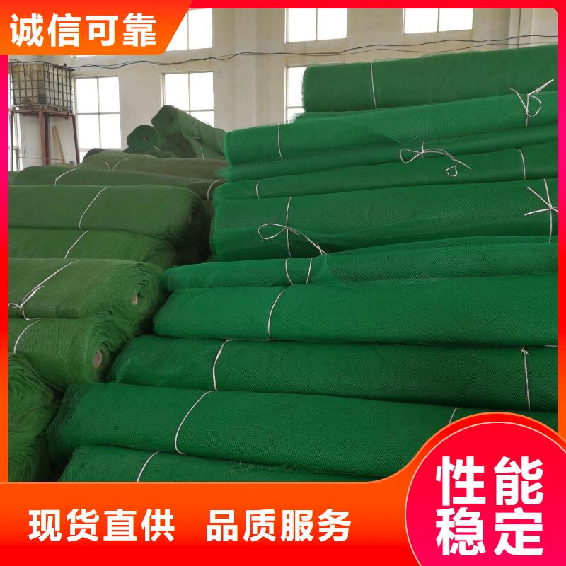 三维植被网复合土工膜厂诚信经营