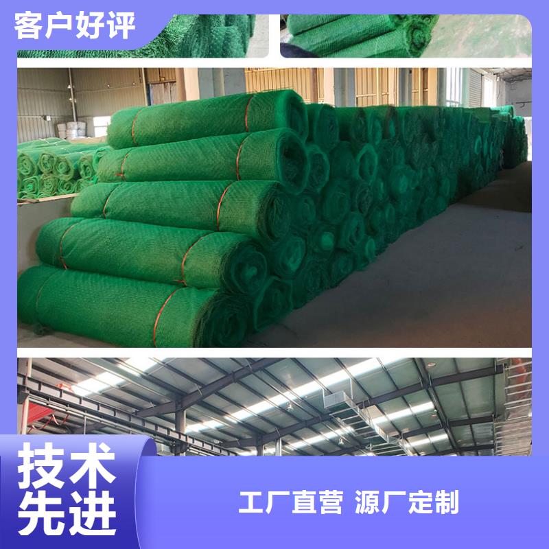 三维植被网,【钢塑土工格栅】颜色尺寸款式定制