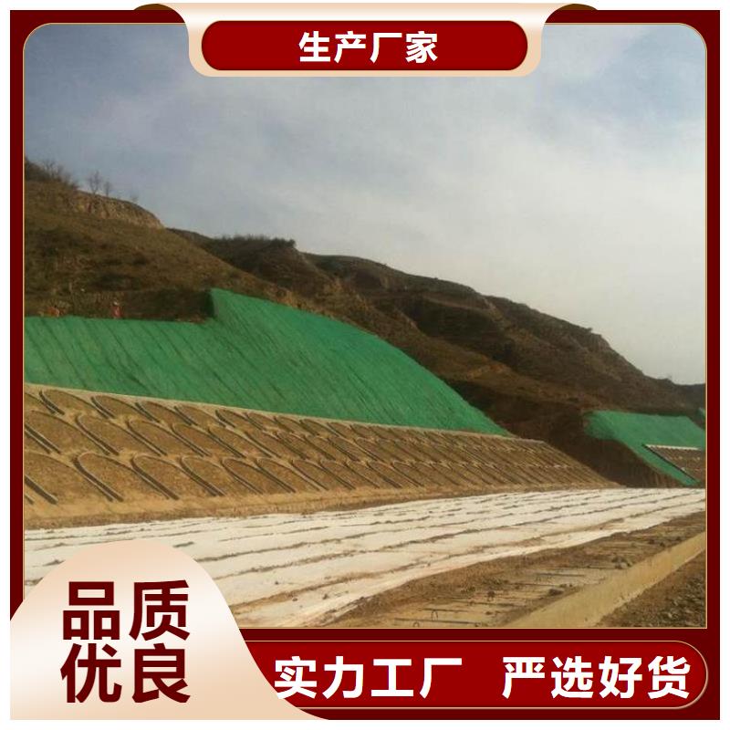 三维植被网涤纶土工格栅厂家直销规格多样