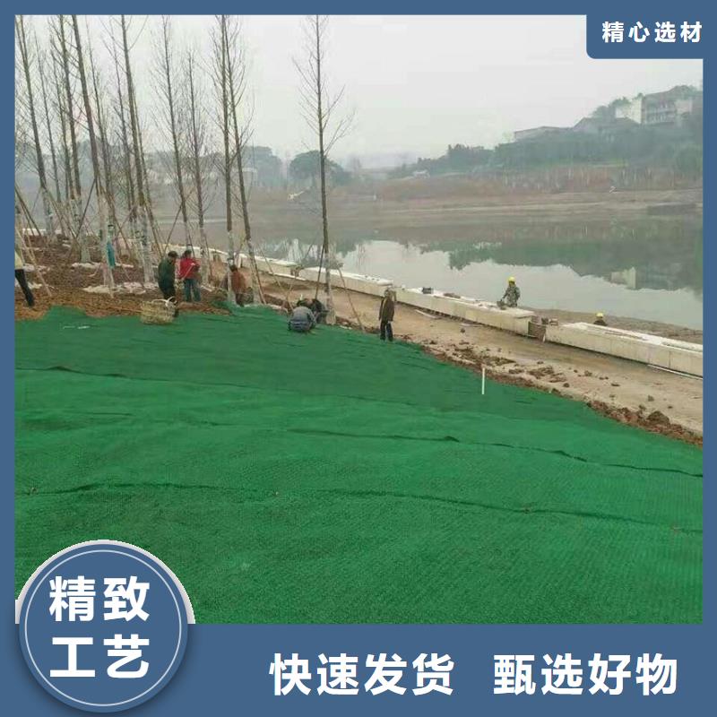 三维植被网涤纶土工格栅厂家直销规格多样