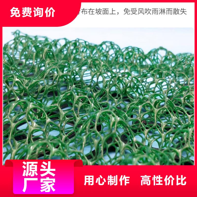 三维植被网长丝土工布品质做服务