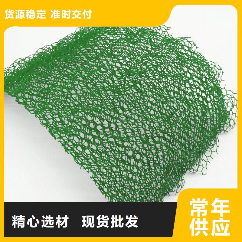 三维植被网凸结点钢塑土工格栅款式多样
