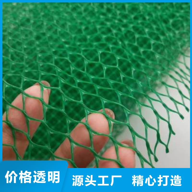 三维植被网复合土工膜厂诚信经营